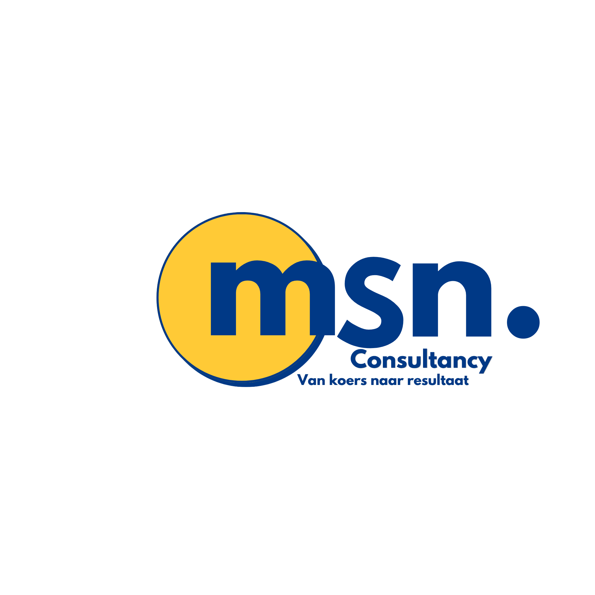 Informele maar professionele groepsfoto van Team MSN Consultancy